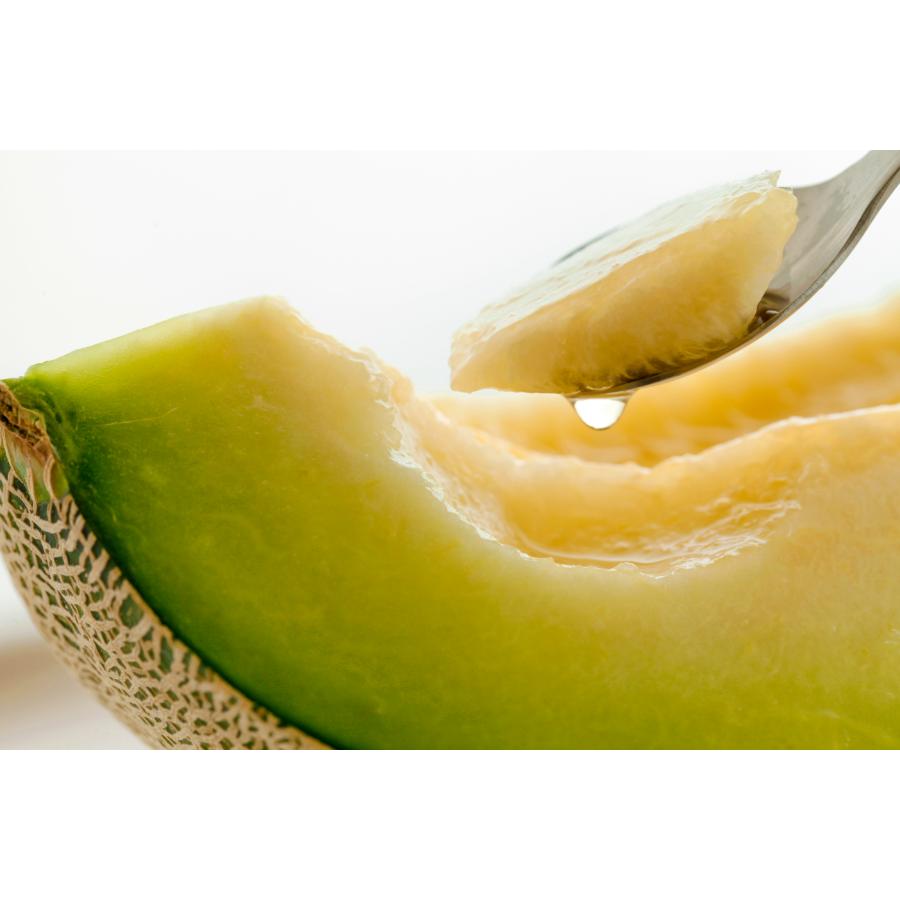 ＜長洲農園＞旬の時期にお届け 品質優良賞受賞 茨城県産 4種のメロンの定期便