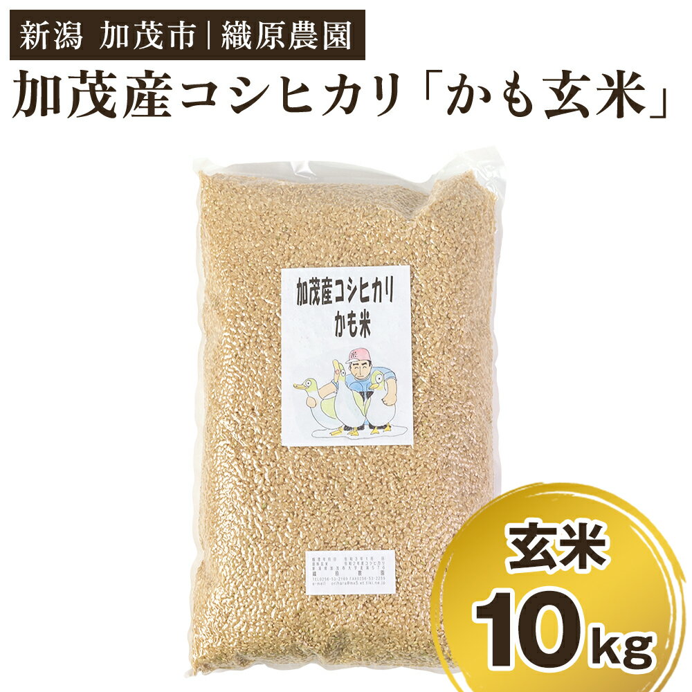 【ふるさと納税】【令和7年産新米先行予約】新潟産コシヒカリ「かも米」玄米10kg（5kg×2袋） 《10月上旬～順次出荷》 真空パック 【無農薬・無化学肥料】 従来品種コシヒカリ 加茂市 織原農園