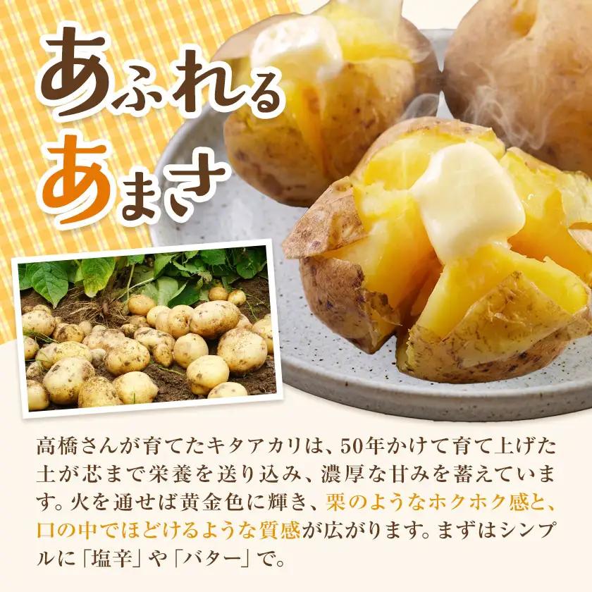 北海道産じゃがいも キタアカリ 10kg 高橋賢三 《2026年10上旬-11月上旬出荷》 