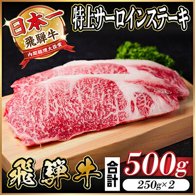 【ふるさと納税】飛騨牛　特上サーロインステーキ　500g(250g×2)　A5等級　【冷凍便】　黒毛和牛【配送不可地域：離島】【1487322】