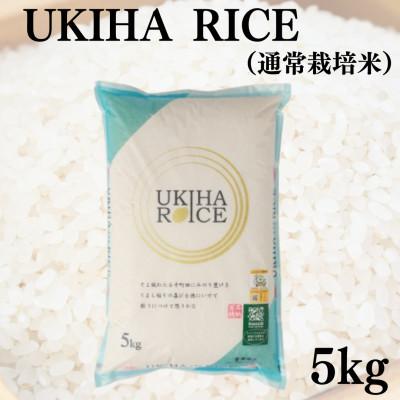 ふるさと納税 うきは市 【毎月定期便】UKIHA RICE 白米5kg(通常栽培米)063-0060全3回