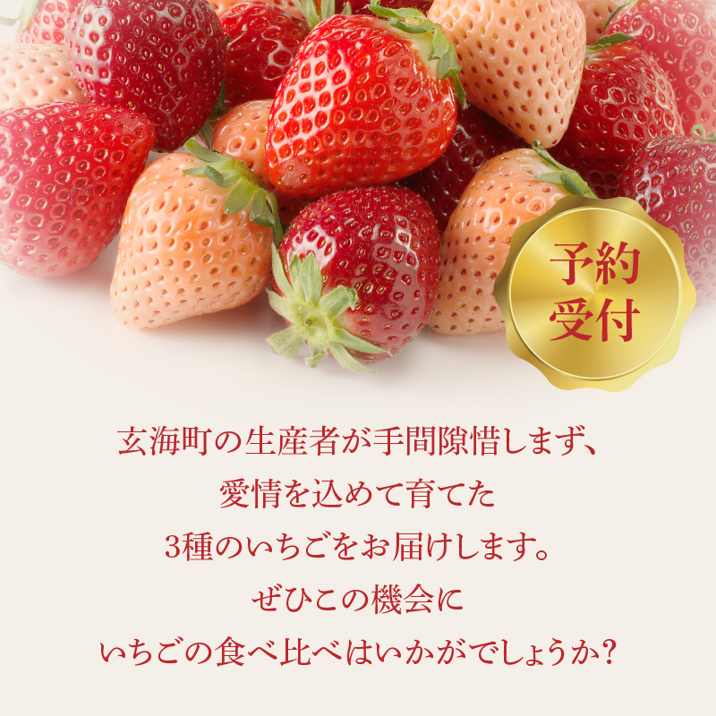 ★予約受付★豪華！3色いちご食べ比べセット　2025年1月～4月中に順次配送