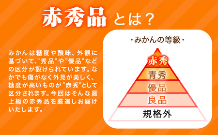みかん 赤秀品 濃厚完熟温州みかん 約2kg