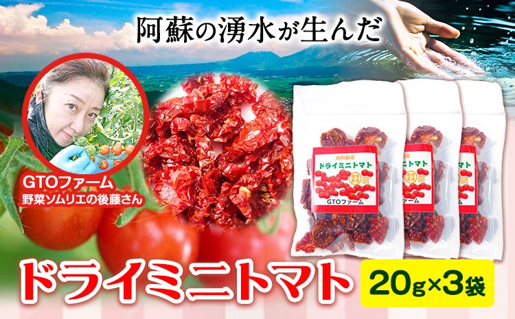 ドライミニトマト セット 60g トマト ミニトマト 野菜 GTOファーム 熊本県 南阿蘇村《7月上旬-10月末頃出荷》---sms_gtodmt_af710_26_4500_60g---