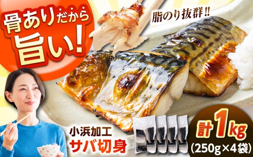 ノルウェー産 塩サバ 切り身 1kg（250g×4袋）オススメ 若狭小浜加工 あえて骨付き 鯖 さば サバ 小浜市 / まるほ商店 【配送不可地域：北海道・沖縄・離島】 [BFCS013]