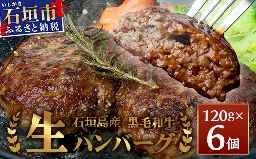 
石垣島産 黒毛和牛 生ハンバーグ 120g x 6個 【沖縄 石垣 石垣島産 黒毛和牛 和牛 ハンバーグ】 UN-1
