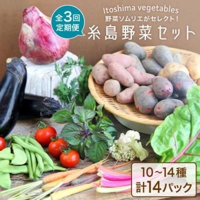 ふるさと納税 糸島市 【全3回定期便】糸島 野菜 セット 10〜14種 (14パック) /vegeLabo[AJB004]