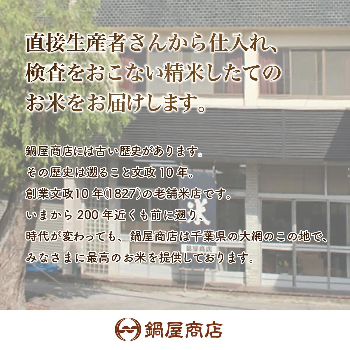 【新米先行受付 令和8年産】千葉県産　ふさこがね10kg (精米5kg×2袋) E028-s