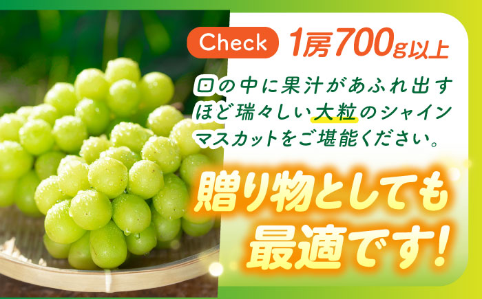 【数量限定】【口の中であふれる果汁】大粒 シャインマスカット 2房 1.4kg以上 / ぶどう ブドウ フルーツ 果物 / 南島原市 / 川田果樹園 [SFN001]