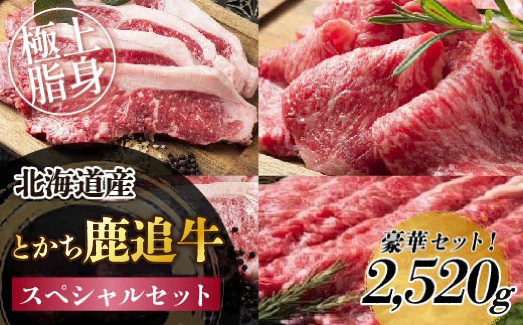 
                  鹿追牛　スペシャルセット 2,520g【ふるさと納税 人気 おすすめ ランキング 牛 肉 牛肉 牛ヒレ 牛すき焼き ビーフ ロース ステーキ すき焼き 焼肉 大容量 ミート 北海道 鹿追町 送料無料】  SKA018
                