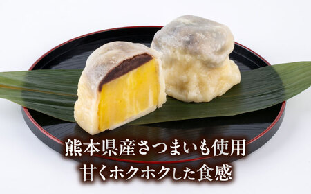 弁天堂 ジャンボ いきなり団子 約150g×10個入り【株式会社弁天堂】[AYDG002]