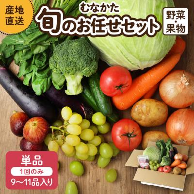 ふるさと納税 宗像市 【9〜11品】むなかた旬のお任せ セット(野菜・フルーツ)【JAほたるの里】_HA1570