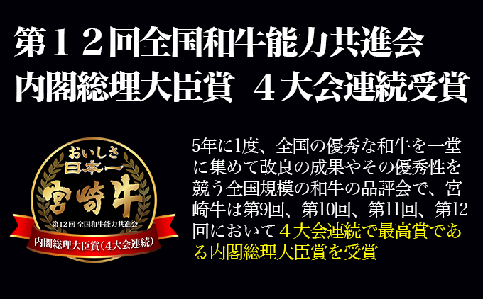 宮崎牛 訳あり切り落とし食べ比べ 計1kg（500g ×2） ブランド牛 A４～A5等級 内閣総理大臣賞4連覇＜1.8-19＞ 最高級黒毛和牛 牛肉 鉄板焼肉 焼肉 炒め物