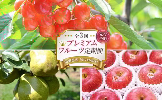 《先行予約2026年発送》プレミアムフルーツ 定期便（さくらんぼ・洋梨ラ・フランス・サンふじりんご） FSY-2367
