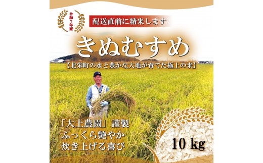 ＜令和7年産＞大上農園のきぬむすめ(精米・10kg) 【鳥取県 境港市】