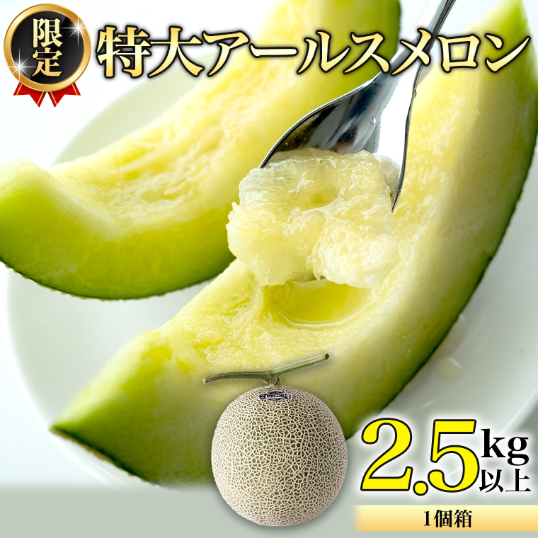【2025年8月下旬発送開始】 季節 限定 ！ 甘さ満点 特大 アールスメロン 1個 箱 果物 フルーツ 農家直送 産直 青肉メロン 特産品 マスクメロン メロン くだもの 茨城 [BC005sa]