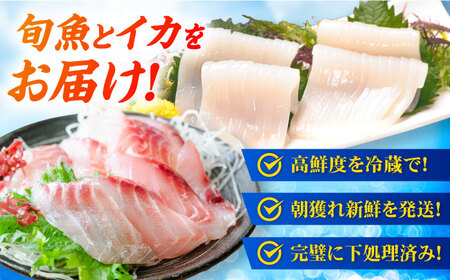 金沢仕立て鮮魚ボックス (旬の魚2種とアオリイカと魚醤油のセット) 詰め合わせ 三枚卸 真空パック 処理済み 五島市/金沢鮮魚 [PEP002] アオリイカ いか イカ アオリイカ いか イカ アオリ