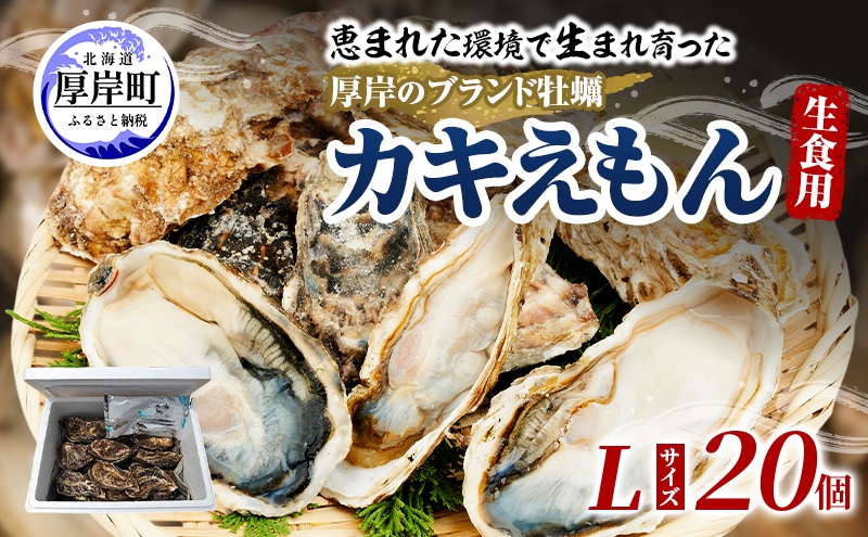 
                  牡蠣 厚岸のブランド牡蠣 生食用 カキえもん Lサイズ 20個 [ 魚貝類 海鮮 海のミルク 国産 生食用殻付き牡蠣 まろやか クリーミー 食べやすい品種 海の香り 牡蠣の酒蒸し 焼き牡蠣 ][№5863-1456]
                