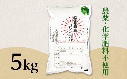 E1-S051B新潟県産米コシヒカリ5kg