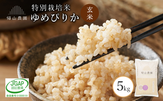 【令和7年産新米予約】玄米 ゆめぴりか 5kg特別栽培米産地直送《帰山農園》