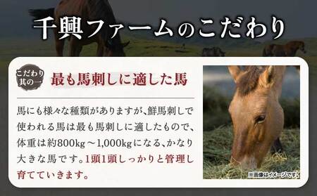 馬刺し 馬刺し赤身ユッケ 10個セット 専用たれ付