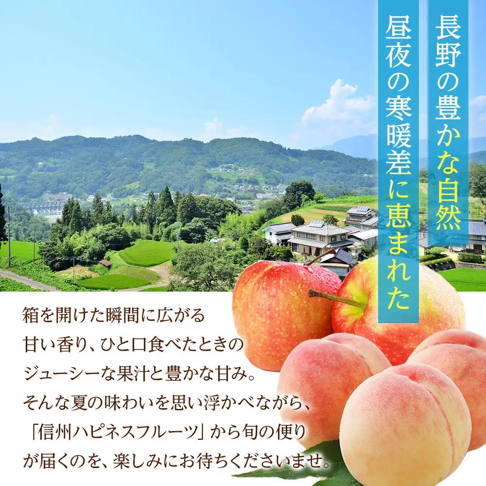 長野市産サンふじ家庭用2kg｜甘さ濃厚シャキッと食感 サンふじ