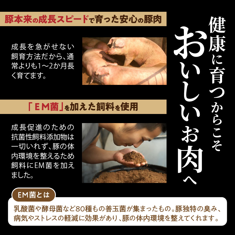 延岡よっとん肩ロースブロック約1㎏ N003-YZA330-1