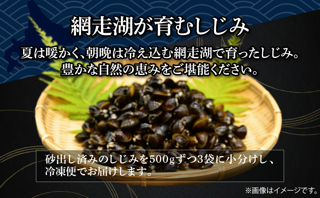 【定期便】無添加大粒砂出ししじみ500g×３袋合計1.5kg 全12回 ABAO143 配送回数:12回