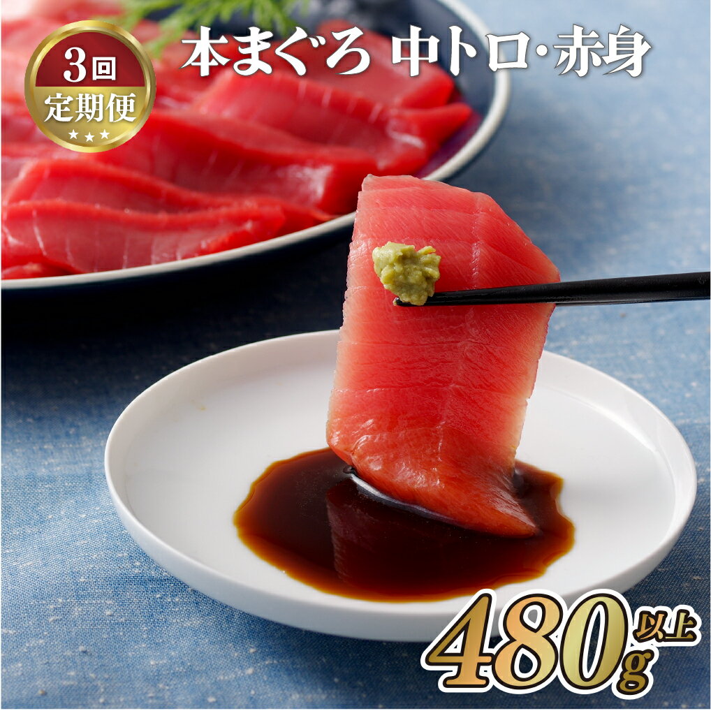 【ふるさと納税】【全3回定期便 総計1,440g】長崎県産 本まぐろ 2種セット ( 中トロ 赤身 ) 480g以上 3回お届け 特殊製法で臭みなし マグロ 中とろ まぐろ 鮪 本マグロ 刺身 冷凍 ギフト 贈答 のし お中元 お歳暮 長崎 永松屋 85000円