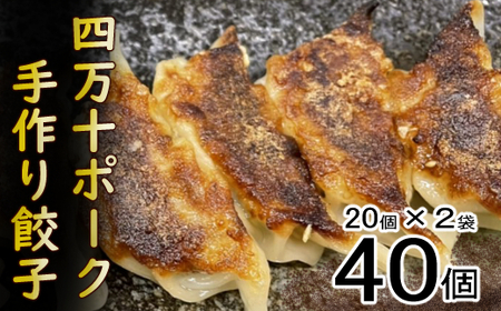 餃子  四万十ポーク手作り餃子 40個  餃子 ぎょうざ ギョウザ _yj067