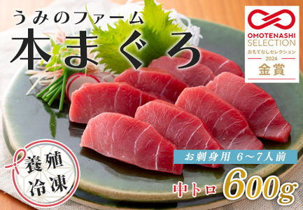 国産 養殖本マグロ 中トロ600g 刺身用 冷凍 柵 ギフト 贈答 産地直送 海鮮丼 寿司 御歳暮