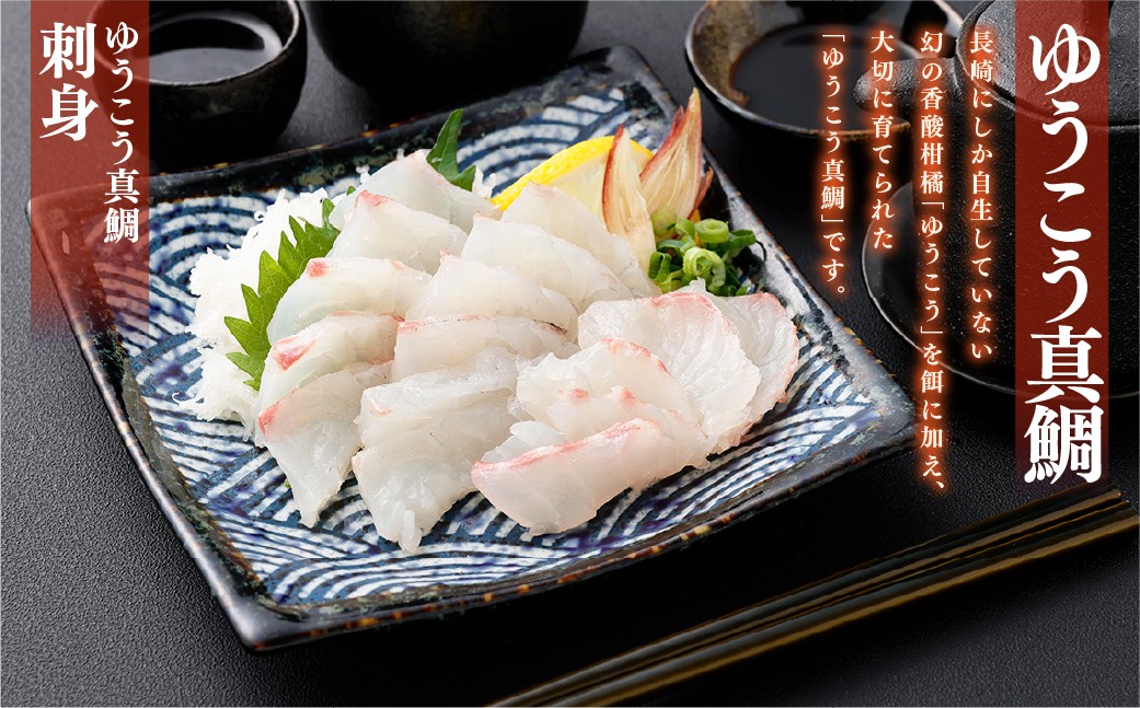 【premiumfishbrand】ゆうこう真鯛（活〆）×1尾（約1.5kg）