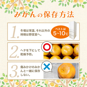 【2027年1月発送予約】 ご家庭用 こだわりの有田みかん 約6kg＋150g(傷み補償分) 【 光センサー選別 農家直送 / みかん ミカン 有田みかん 温州みかん 柑橘 フルーツ 果物 くだもの 