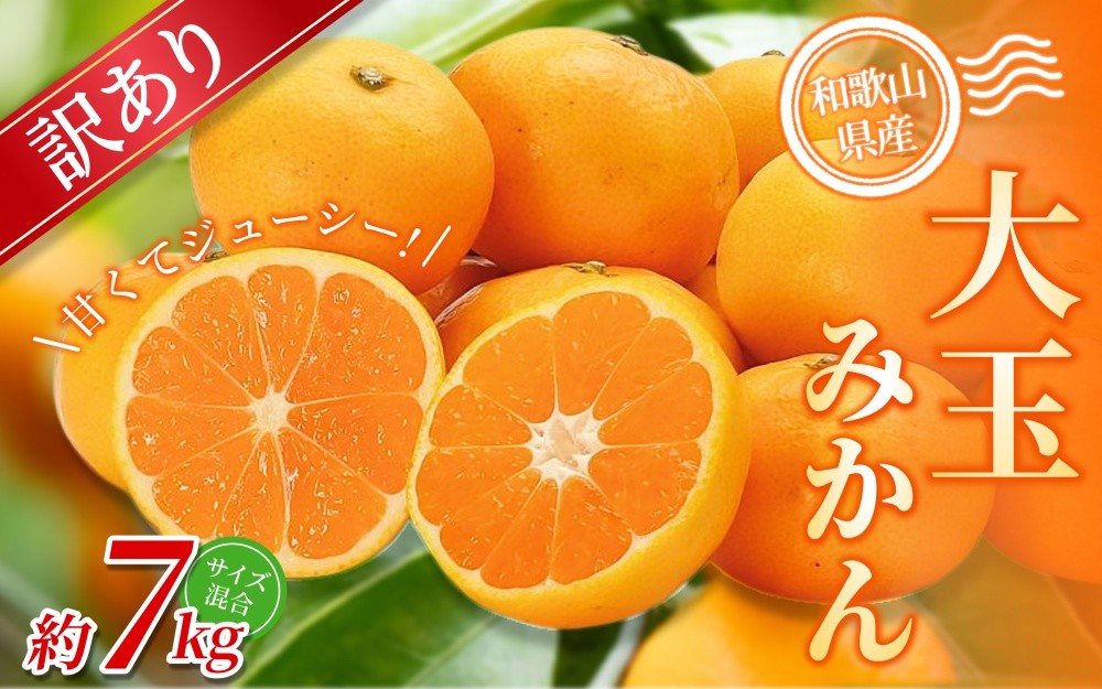 
                  【訳あり・ご家庭用】 森本農園の手選別 大玉みかん 約7kg 和歌山県産 【北海道・沖縄・離島配送不可】【2025年11月上旬～2026年2月中旬ごろに順次発送】【BV-mrmt072】
                