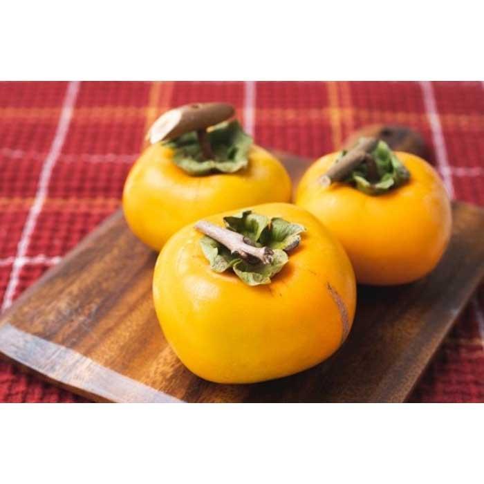 【ふるさと納税】吊るし柿用たね無渋柿T軸又はクリップ付紐付約14.5～15kg　約60～90個＜2026年10月中旬～11月上旬ごろ順次発送＞【ART12】 | フルーツ 果物 くだもの 食品 人気 おすすめ 送料無料