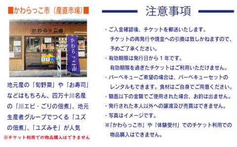 【利用券】四万十カヌーとキャンプの里 かわらっこで使える！　（6,000円分）R5