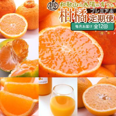 ふるさと納税 広川町 【発送月固定定期便】厳選 柑橘定期便M(毎月)全12回