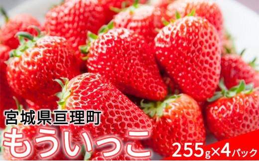 
                  【亘理町産いちご】もういっこ 255g×4パック 果物類 フルーツ デザート 温暖 気候 とちおとめ 東北一 産地 おいしい 
                
