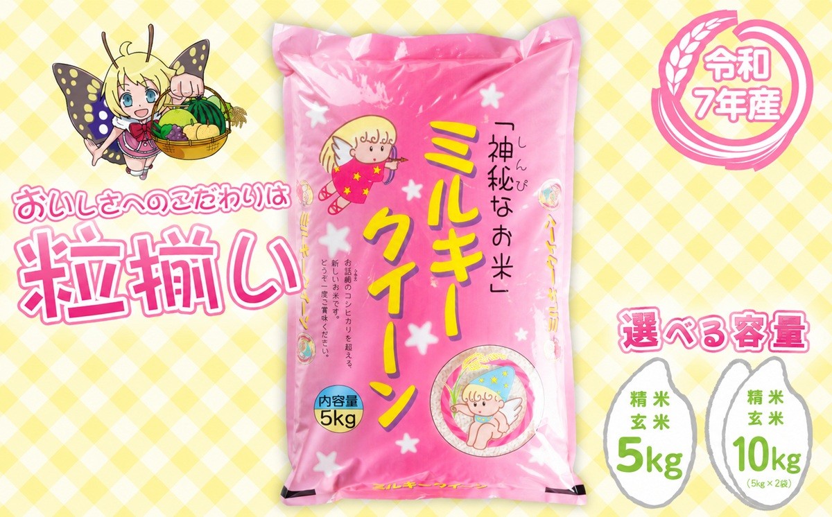 
                  【最短7日発送】〔選べる容量・玄米/精米・発送月〕ミルキークイーン 5kg 10kg 茨城県下妻市産 【 お米 米 白米 玄米 ご飯 こめ ミルキークイーン 令和7年産 令和8年産 茨城県産 】
                