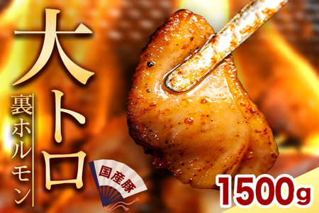 国産豚ホルモン 大トロ キクアブラ 1500g (150g×10)（DV068）