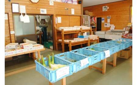 大原観光果樹園 桃狩り体験チケット1人（桃お土産付き）