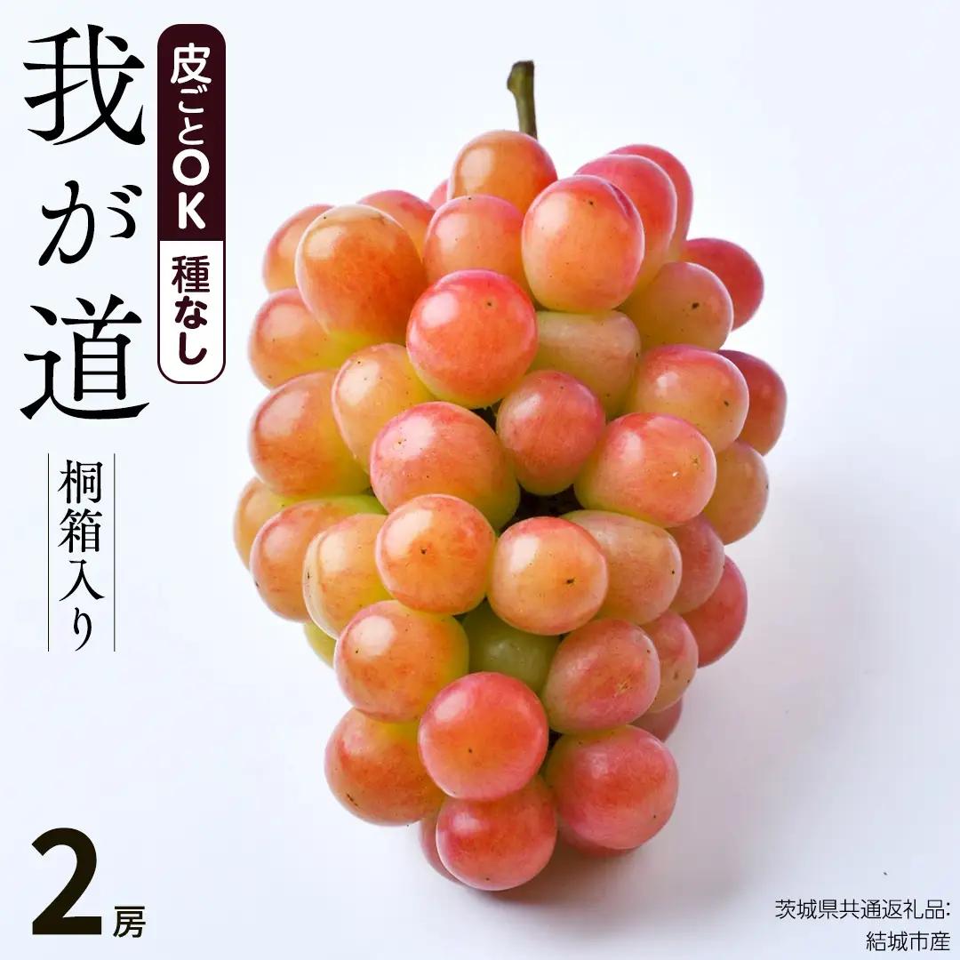 【 桐箱入り 】我が道 （ ぶどう ） 2房 【2026年9月から発送開始】（茨城県共通返礼品 [ぶどう]：結城市産）  ギフト 贈答 フルーツ 果物