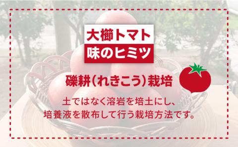 甘くて濃厚！糸島産大玉トマト2kg【大櫛トマトファーム】とまと/糸島野菜/やさい [AQH001]