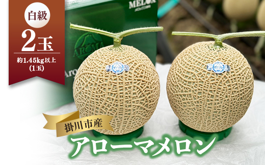 静岡温室マスクメロン アローマ印　　　　　白級約1.45kg以上　2玉【配送不可地域：離島・北海道・沖縄県】