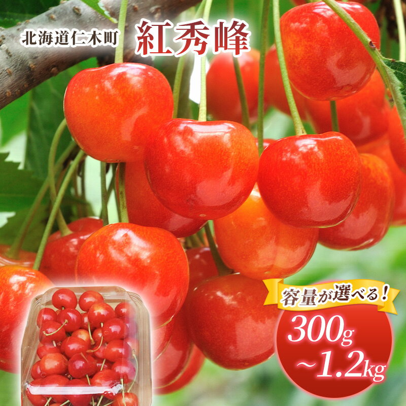 【ふるさと納税】[先行受付] 容量が選べる 300g～1.2kg北海道 仁木町産 サクランボ 紅秀峰 さくらんぼ チェリー 果物 くだもの フルーツ [松山商店]　お届け：2025年7月13日～26日頃
