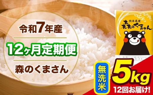 令和7年産 森のくまさん 【12ヶ月定期便】 無洗米 《お申込み翌月から出荷》 5kg (5kg×1袋) 計12回お届け 熊本県産 単一原料米 森くま 熊本県 玉東町