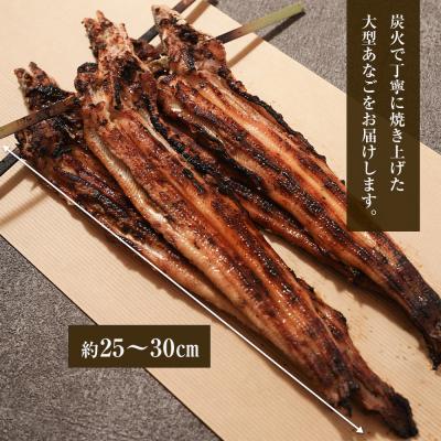 ふるさと納税 淡路市 炭焼きあなご 大型4匹 たれ付き 冷凍　aa54002 |  | 02