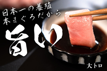 【高知県大月町産 本マグロ】 大トロ150g