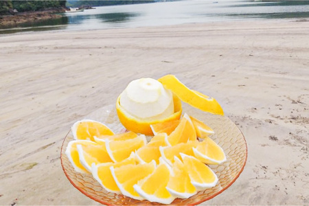 果物 オレンジ 果樹園からの贈り物 2種 セット