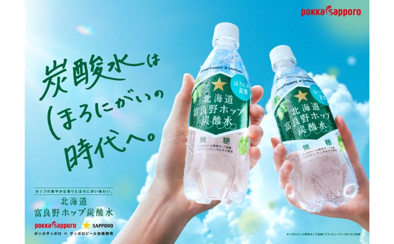 北海道 定期便 12ヵ月 連続 全12回 炭酸水 500ml × 24本 北海道富良野ホップ炭酸水 グリーンシャワー ポッカサッポロ 無糖 北海道富良野ホップ ペットボトル 炭酸飲料 炭酸 ソーダ ソ